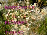 Margaret's Flowery Thread - title slide